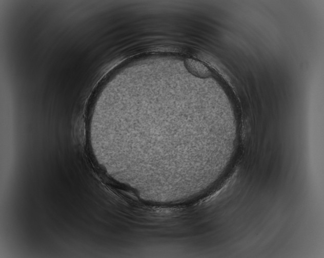 X0000095690829200801291215