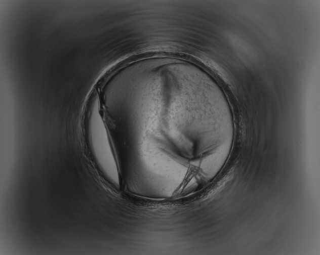 X0000095690830200801291215