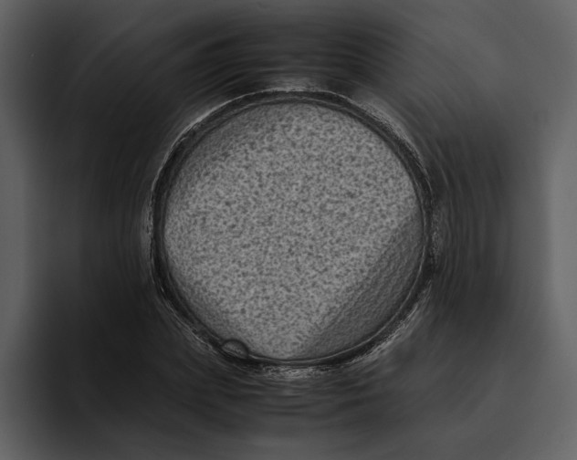 X0000095690831200801291215