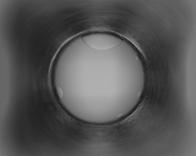 X0000095690832200801291215