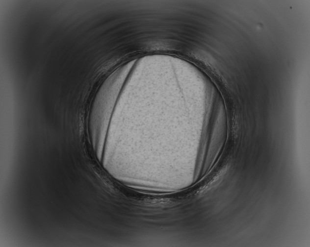 X0000095690833200801291215