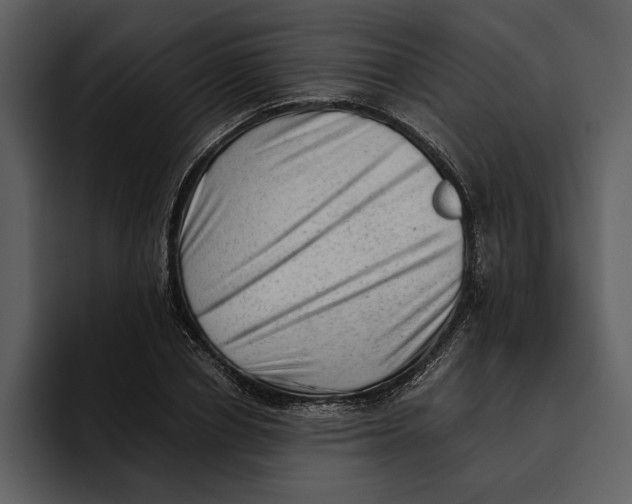 X0000095690834200801291215