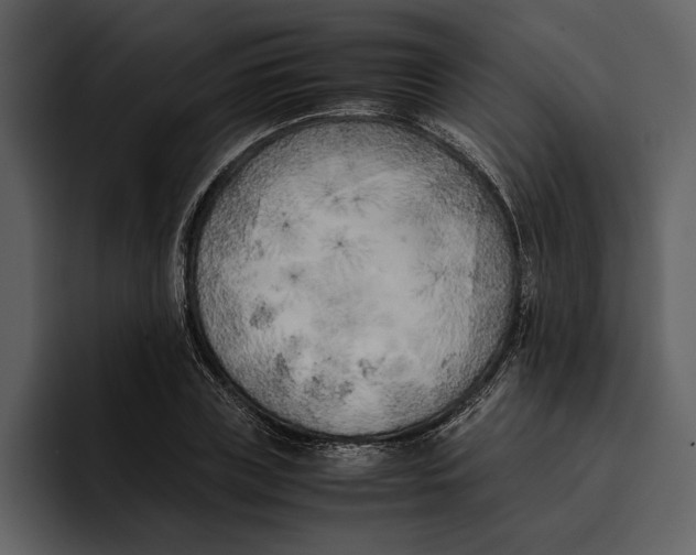 X0000095690835200801291215