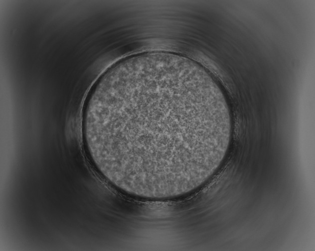 X0000095690836200801291215