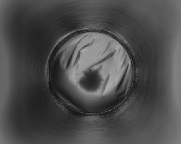 X0000095690838200801291215