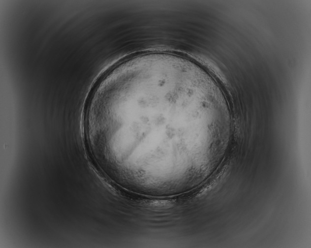 X0000095690839200801291215