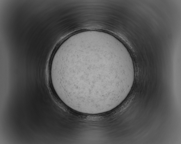 X0000095690840200801291215