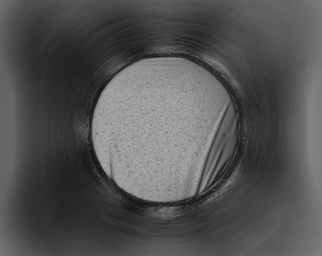 X0000095690841200801291215