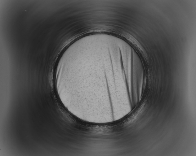 X0000095690842200801291215