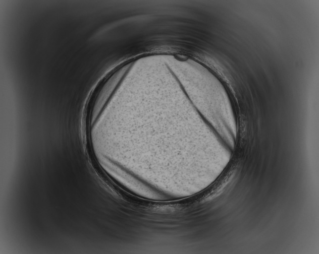 X0000095690843200801291215