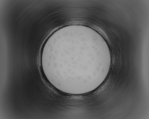 X0000095690844200801291215