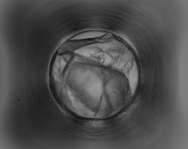 X0000095690845200801291215