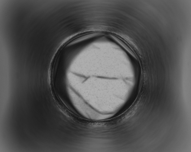 X0000095690846200801291215