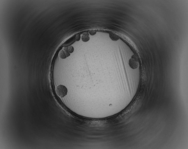 X0000095690847200801291215