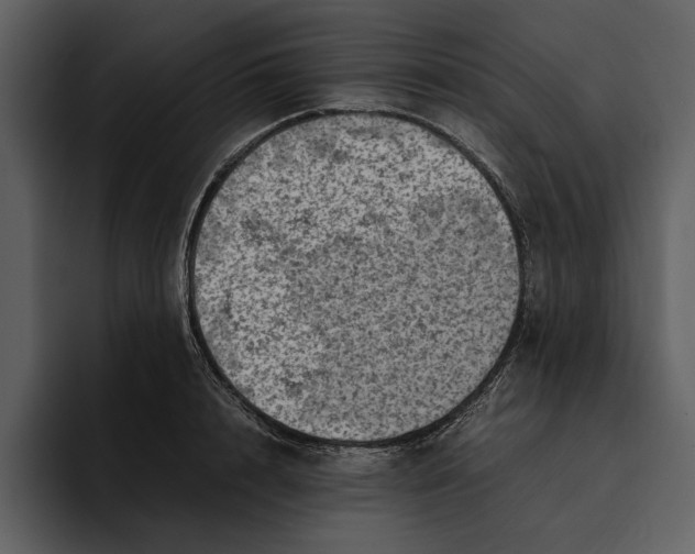 X0000095690848200801291215