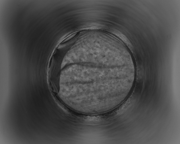 X0000095690850200801291215