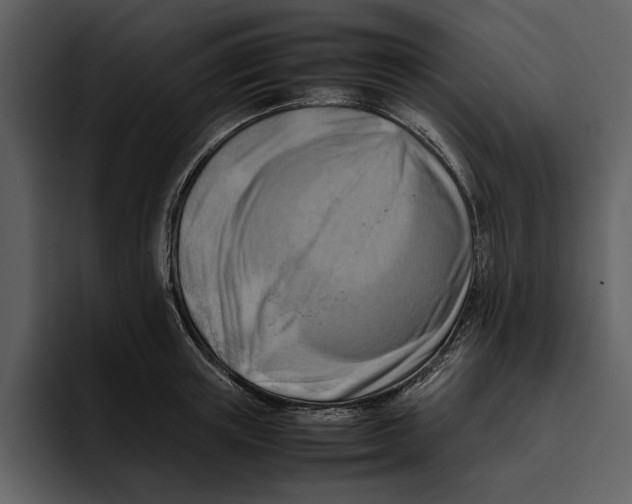 X0000095690851200801291215