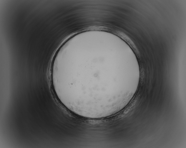 X0000095690852200801291216