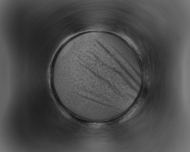 X0000095690854200801291216