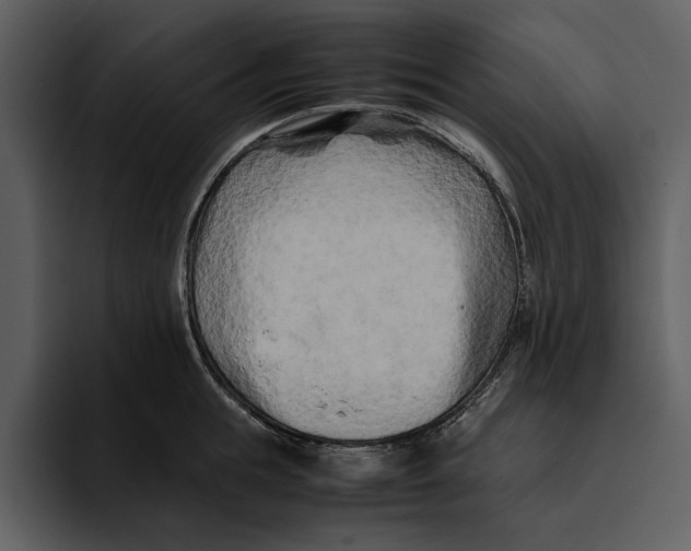 X0000095690855200801291216