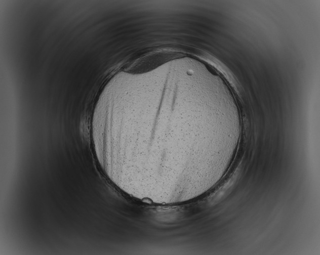 X0000095690857200801291216