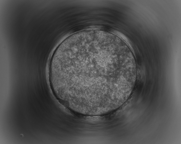 X0000095690859200801291216