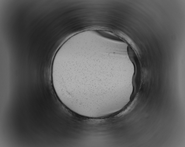 X0000095690860200801291216