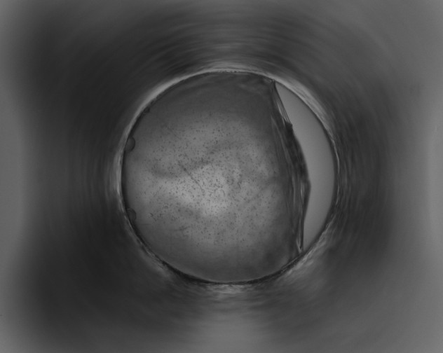 X0000095690862200801291216