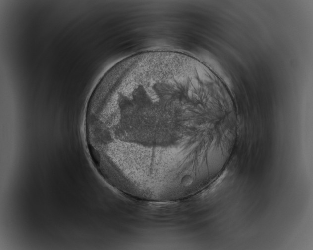 X0000095690863200801291216