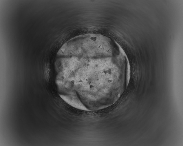 X0000095690866200801291215