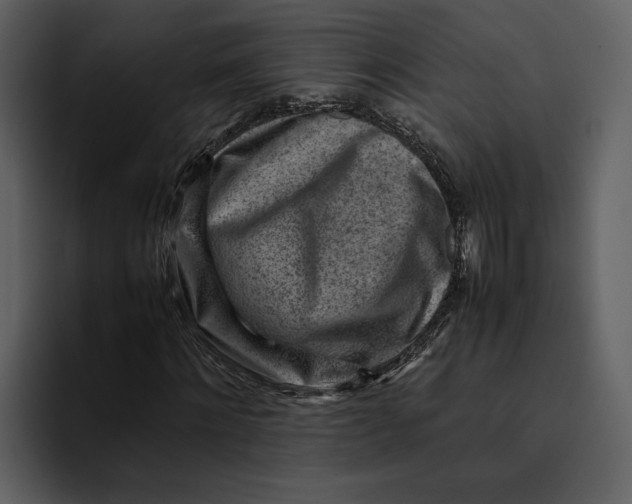 X0000095690868200801291215