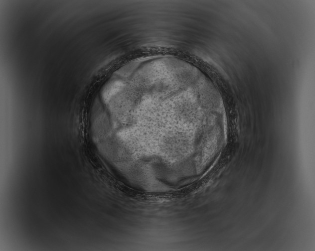 X0000095690870200801291215