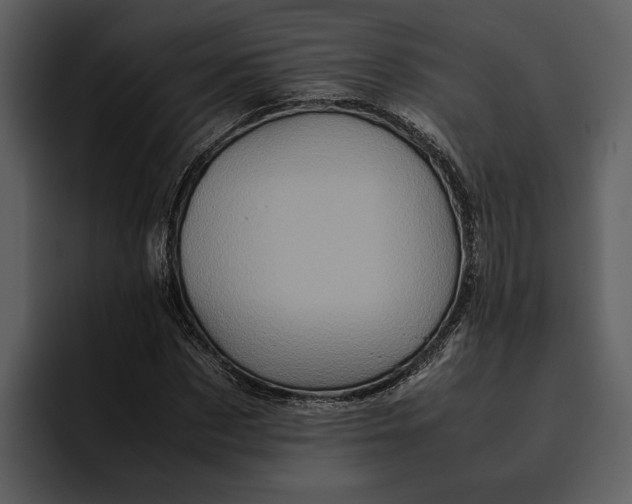 X0000095690873200801291215