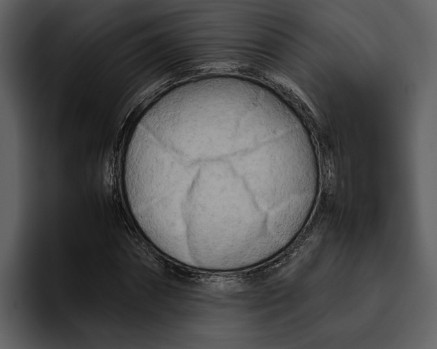 X0000095690874200801291215