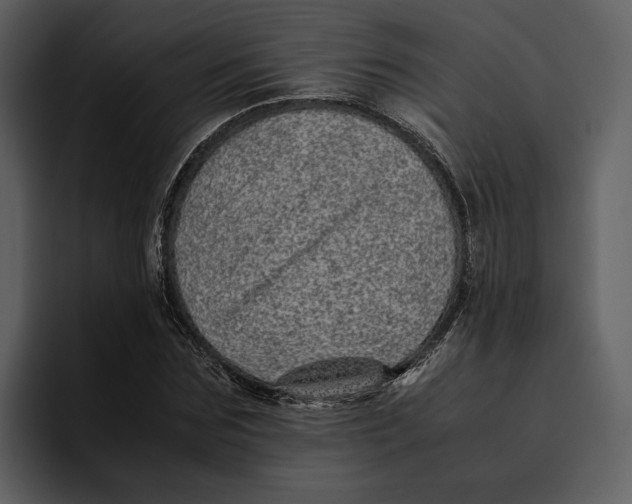 X0000095690875200801291215