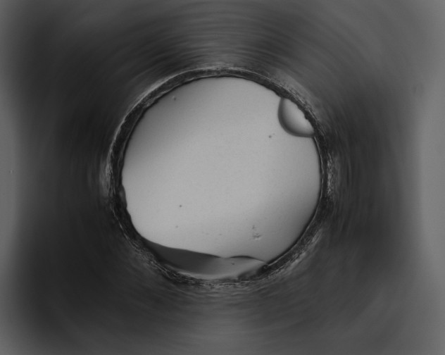 X0000095690876200801291215