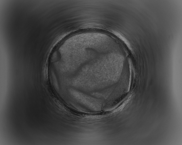 X0000095690877200801291215