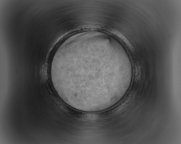 X0000095690878200801291215