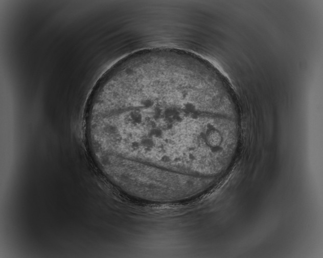 X0000095690879200801291215