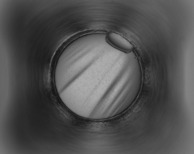 X0000095690880200801291215