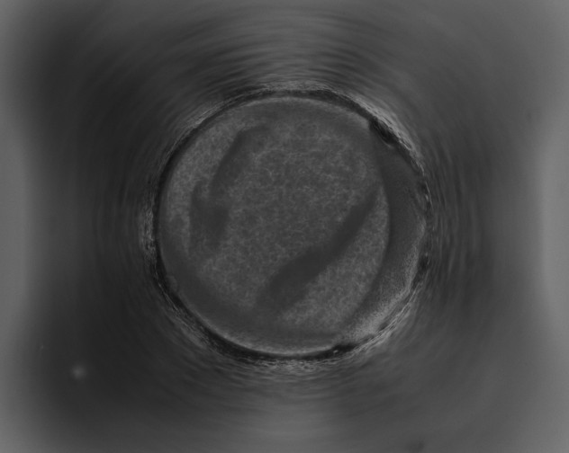 X0000095690881200801291215