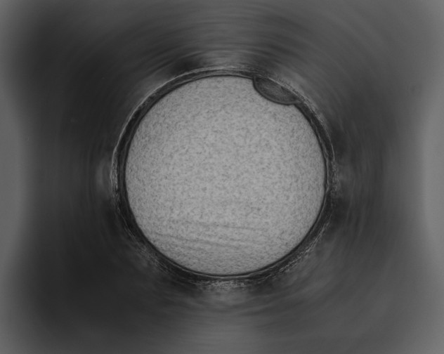 X0000095690883200801291215