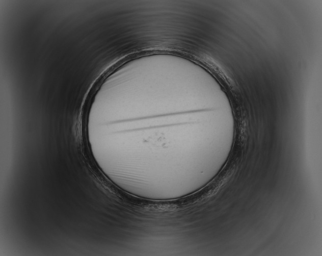 X0000095690884200801291215