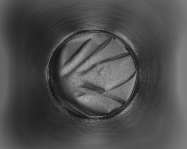 X0000095690885200801291215