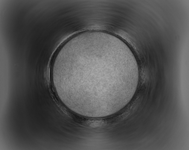 X0000095690886200801291215