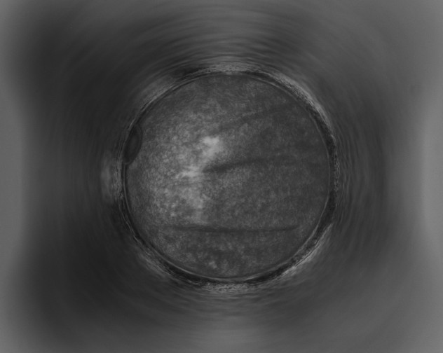 X0000095690889200801291215