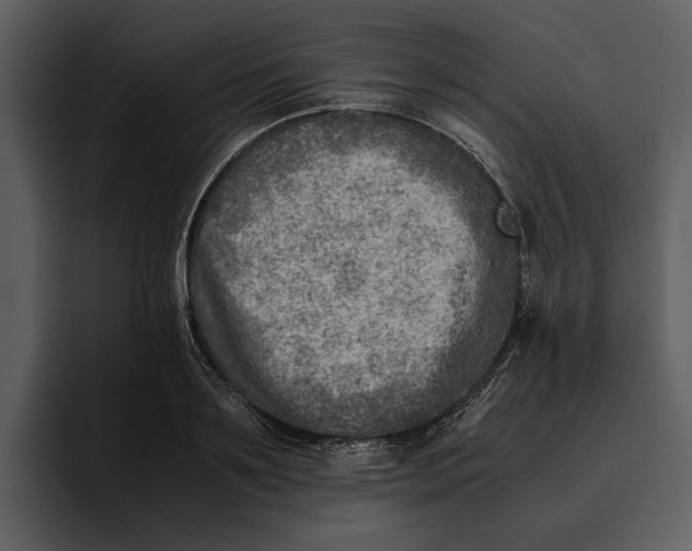 X0000095690891200801291215