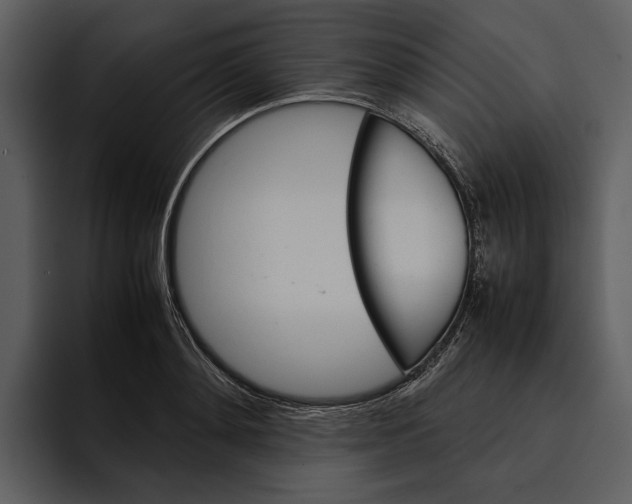 X0000095690892200801291215