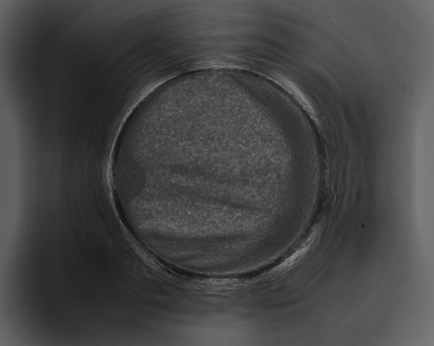 X0000095690893200801291215