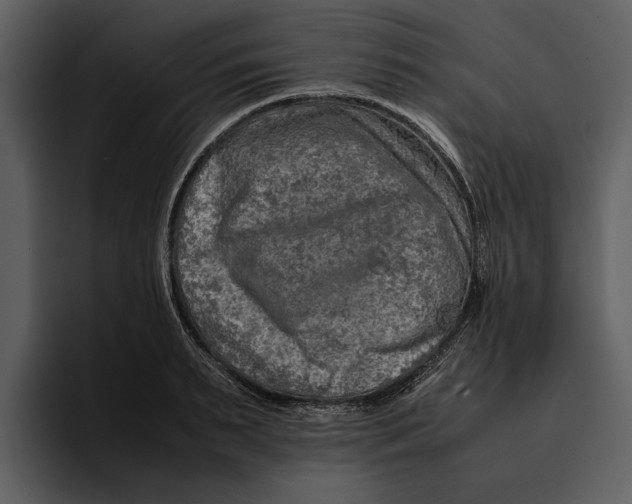 X0000095690895200801291215